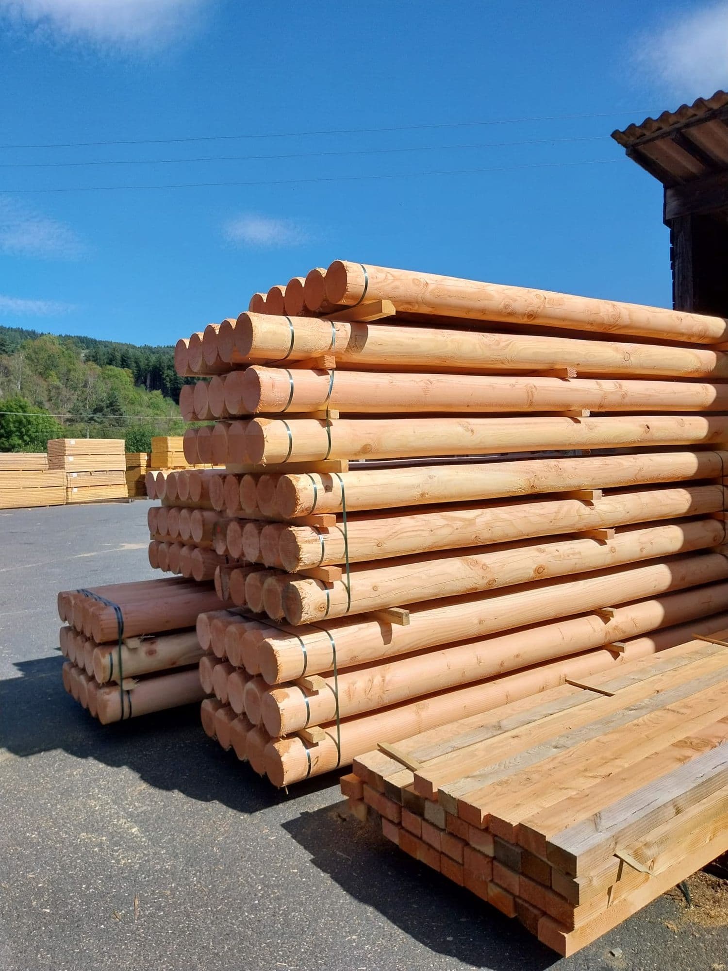Piles de bois ronds fraisés sur le parc de la scierie