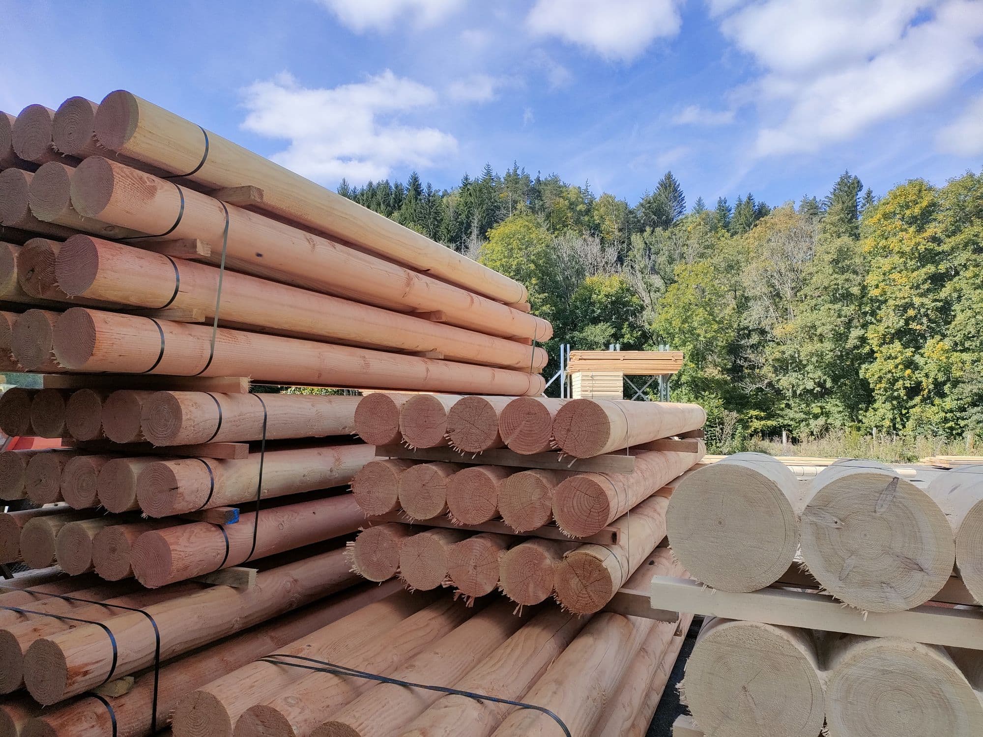 Stock de bois ronds fraisés sur le parc de la scierie Bois du Haut Forez