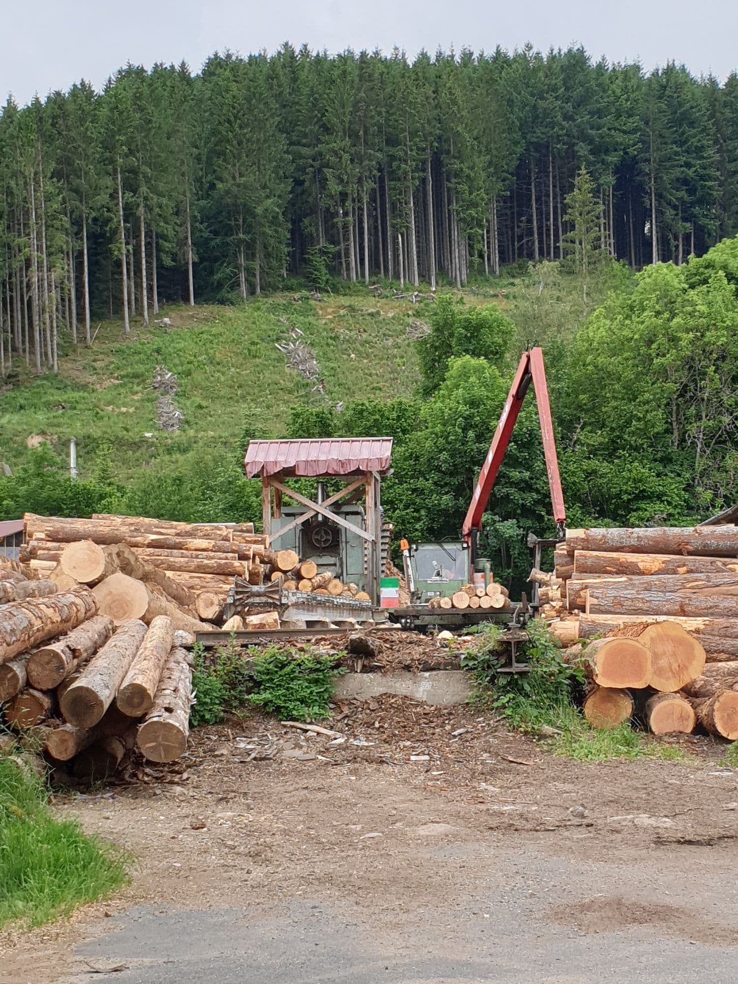 Parc à grumes de la scierie au pied de la forêt